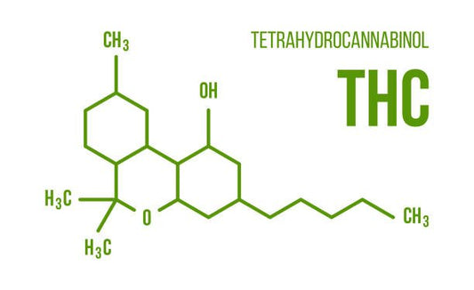 CBD, THC & Me