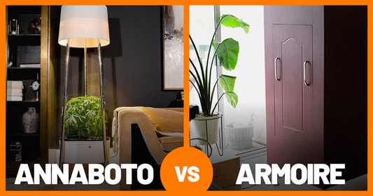 Annaboto vs. The Armoire