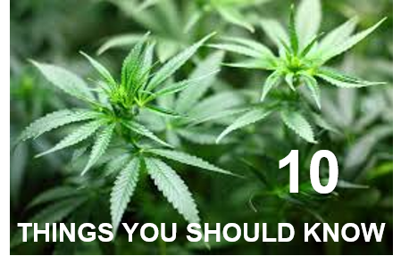 Ten Things To Know About Cannabis